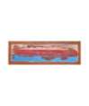 Comodă TV, 110 x 35 x 40 cm, lemn reciclat de tec, cu aspect rustic - WOODBB162