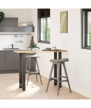 Picioare de masă de bar antracit, 2 buc., 40x(100-101) cm, oțel - WOODBB3016