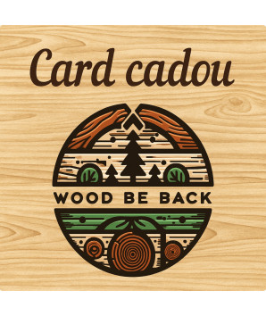 Card cadou 500