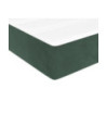 Saltea cu arcuri buzunar, fermitate medie, verde închis, 100x200x20 cm, catifea - WOODBB3239