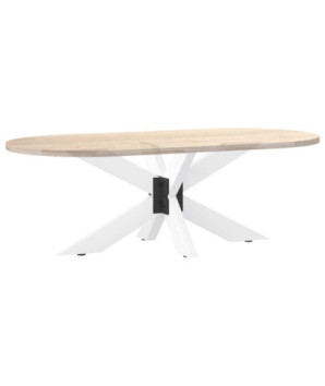 Picior masă de cafea, formă de păianjen, alb, 98x58x(42-43) cm, oțel - WOODBB3368