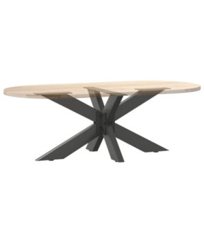 Picior masă de cafea, formă de păianjen, antracit, 98x58x(42-43) cm, oțel - WOODBB3369