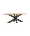Picior masă de cafea, formă de păianjen, negru, 98x58x(42-43) cm, oțel - WOODBB3370