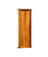 Cuier, 2 buc., 38x100 cm, lemn reciclat, cu aspect vintage - WOODBB662 Cuier, 2 buc., 38x100 cm, lemn reciclat, cu aspect vintage - WOODBB662